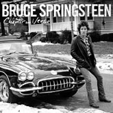 bruce springsteen cover m
