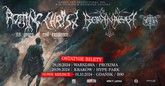 rotting christmm m