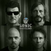 sonic wastelandwer m