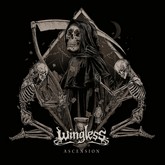 winglessbs m