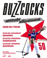 buzzcockslpu m