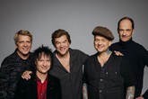 die toten hosenstm m
