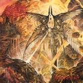 ophidian memorykwi m