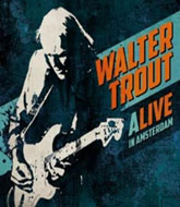 walter trout m